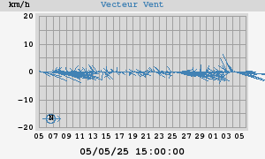 Wind Vector