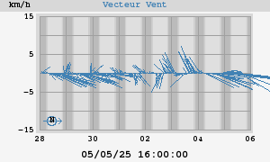 Wind Vector