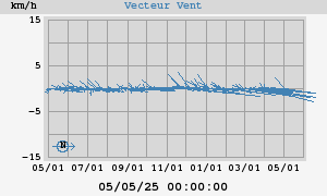 Wind Vector
